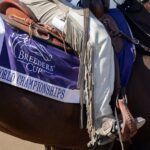 Breeders' Cup saddle towel - Barbara D. Livingston - Daily Racing Form
