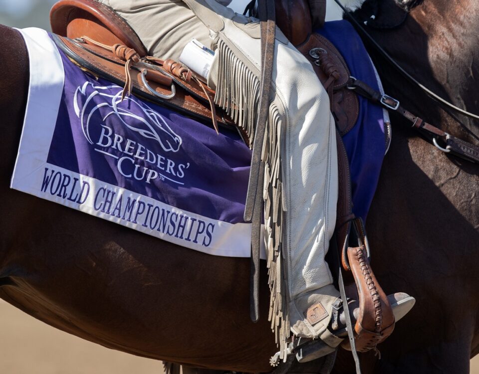 Breeders' Cup saddle towel - Barbara D. Livingston - Daily Racing Form