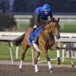 Canadian International Championship contender Arabian Crown at Woodbine Racetrack / Michael Burns Photo