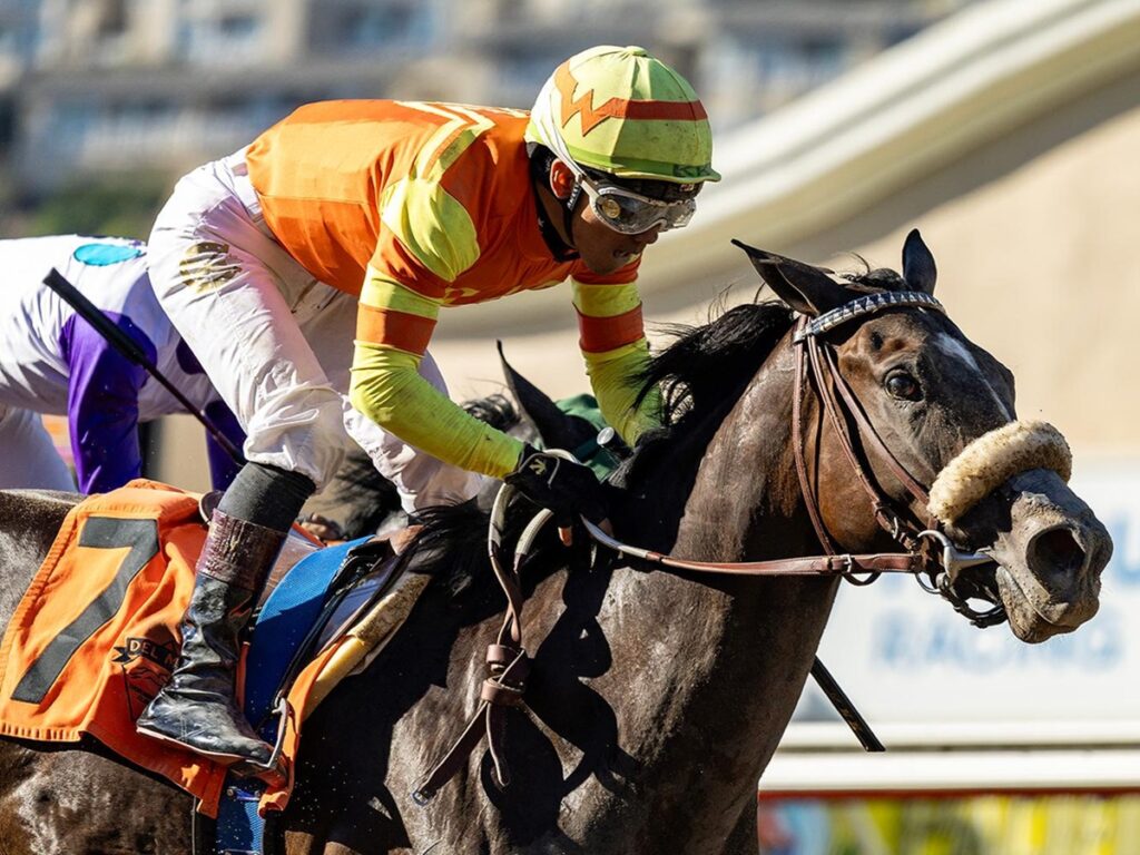 Daytona Diamond - Generous Portion Stakes - Del Mar - BENOIT Photo