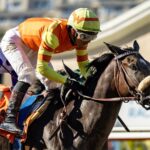 Daytona Diamond - Generous Portion Stakes - Del Mar - BENOIT Photo