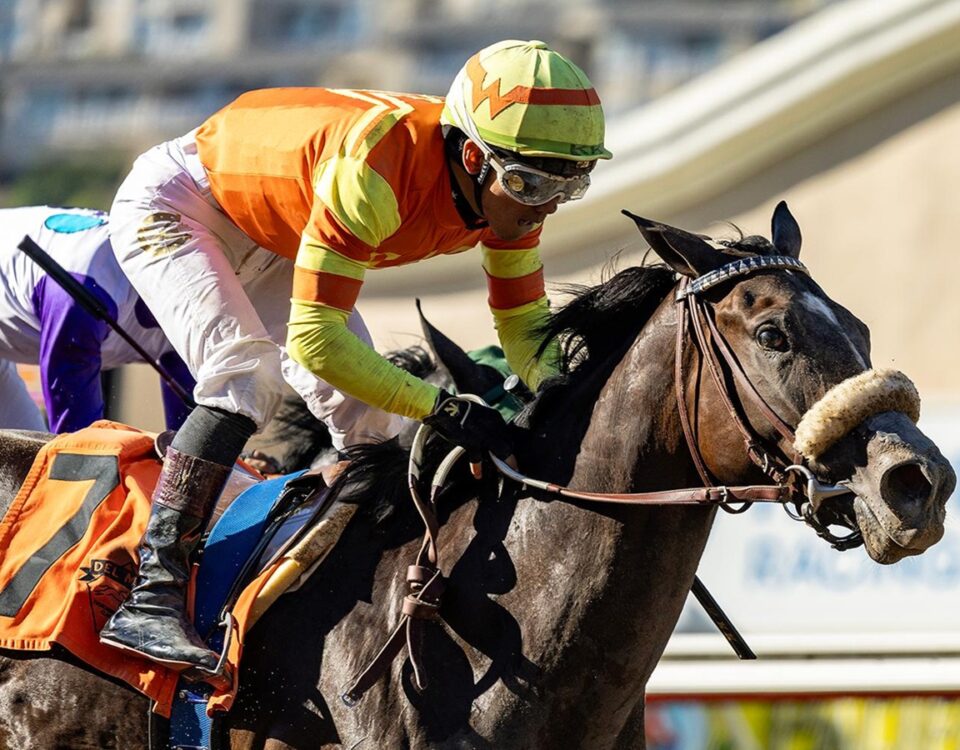 Daytona Diamond - Generous Portion Stakes - Del Mar - BENOIT Photo