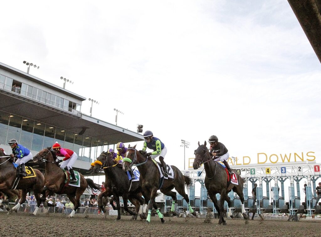 Emerald Downs Scenic - Emerald Downs