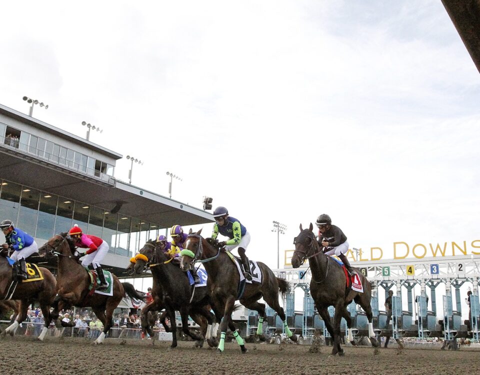 Emerald Downs Scenic - Emerald Downs