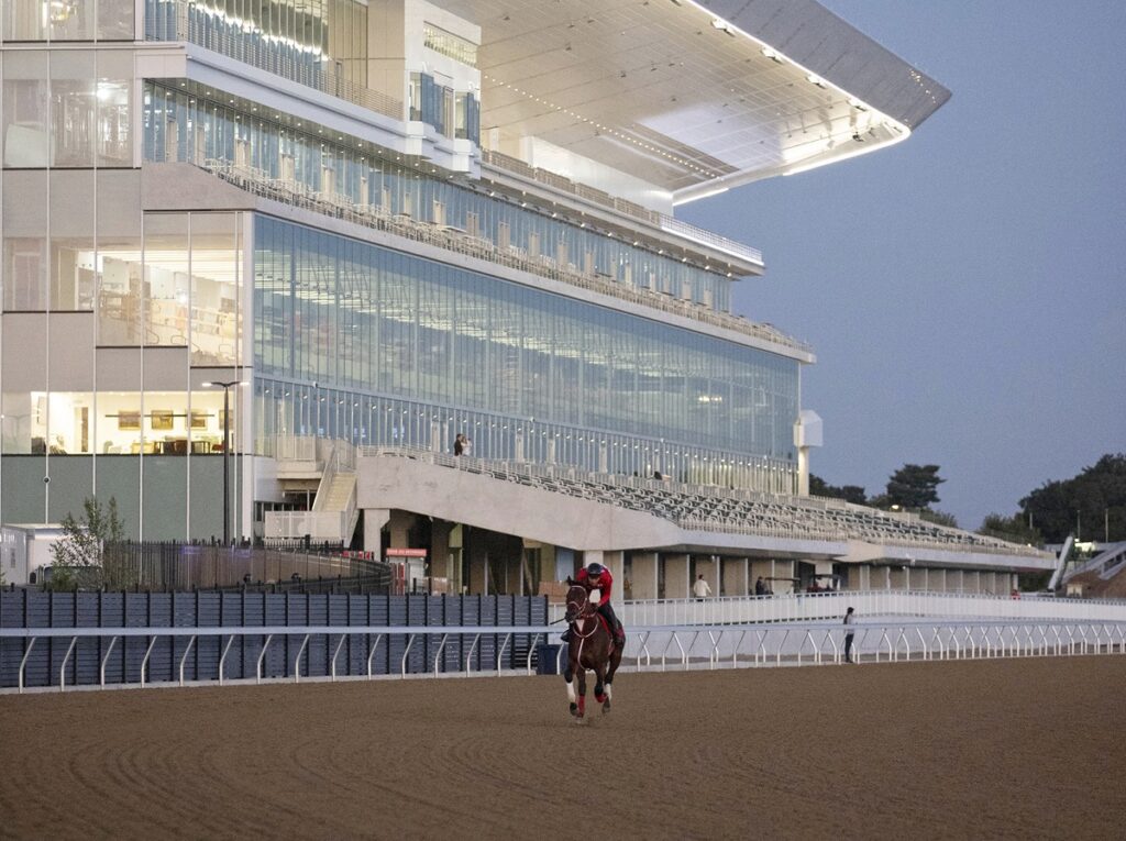 Forever Young, sobre la pista de Belmont Park, Sep12, 2026 - Susie Raisher photo