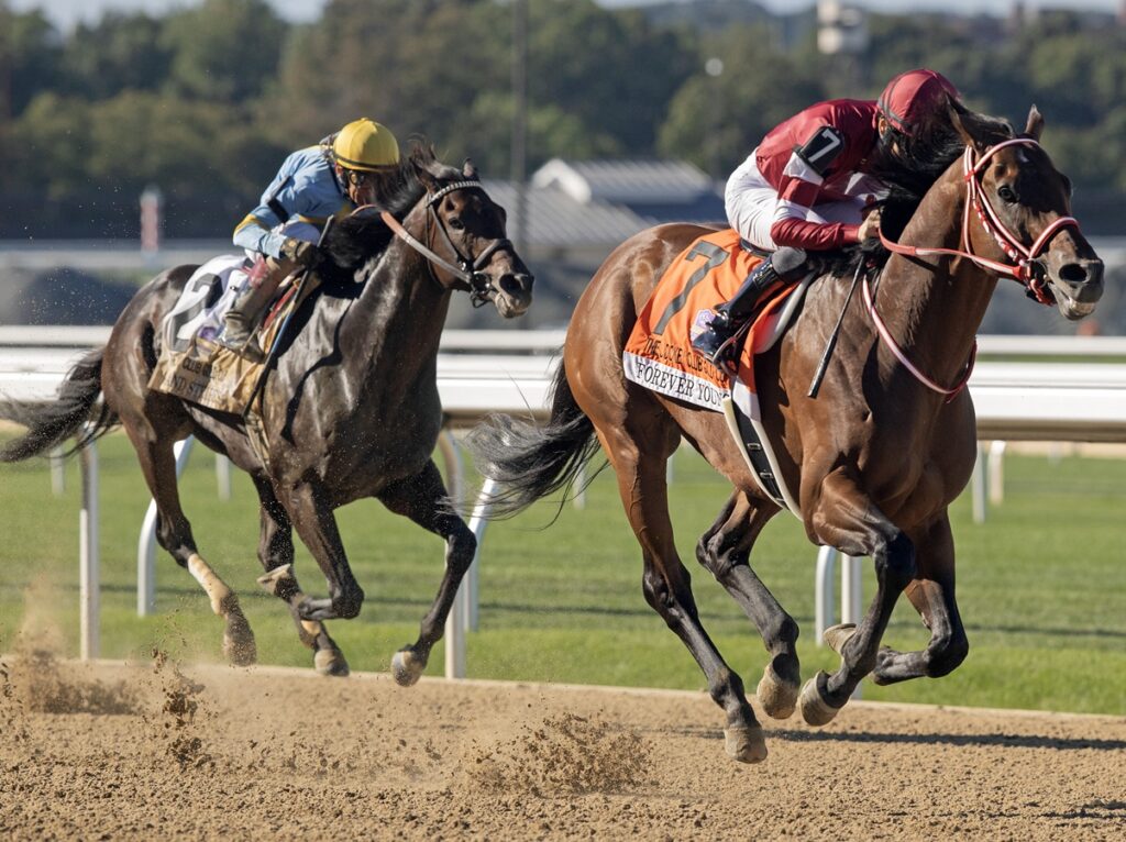 Forever Young (Jpn) - Jockey Club Gold Cup G1 - Barbara D. Livingston - Daily Racing Form
