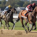 Forever Young (Jpn) - Jockey Club Gold Cup G1 - Barbara D. Livingston - Daily Racing Form