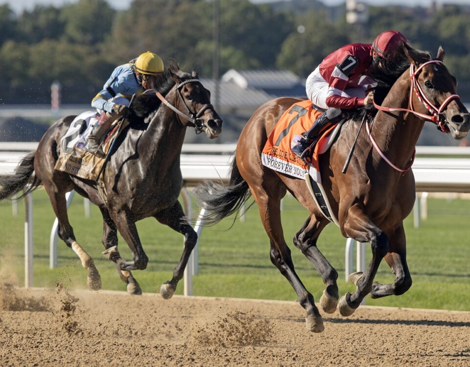 Forever Young (Jpn) - Jockey Club Gold Cup G1 - Barbara D. Livingston - Daily Racing Form
