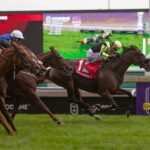 Gimme a Nother (SAf) - E P Taylor G1 - Julie Wright - Daily Racing Form