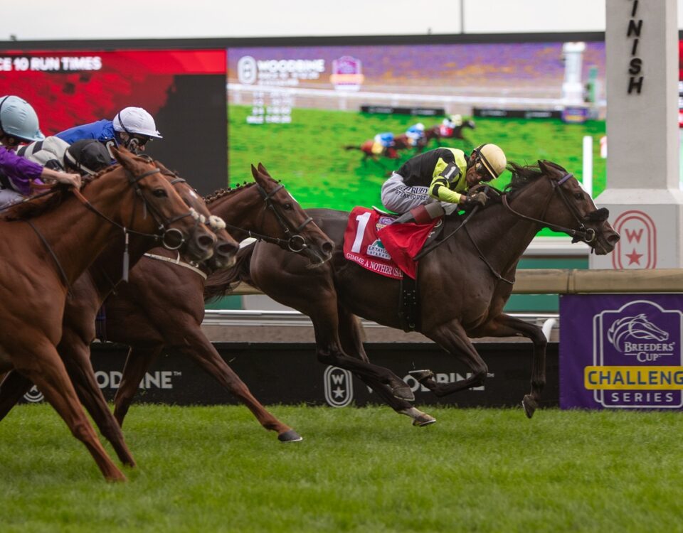 Gimme a Nother (SAf) - E P Taylor G1 - Julie Wright - Daily Racing Form