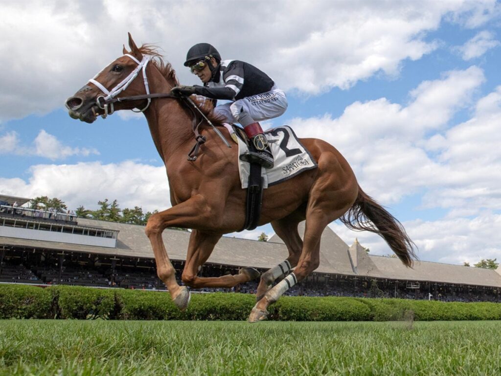 Glycogen - P. G. Johnson Stakes - Saratoga - Barbara D. Livingston - Daily Racing Form