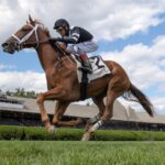 Glycogen - P. G. Johnson Stakes - Saratoga - Barbara D. Livingston - Daily Racing Form