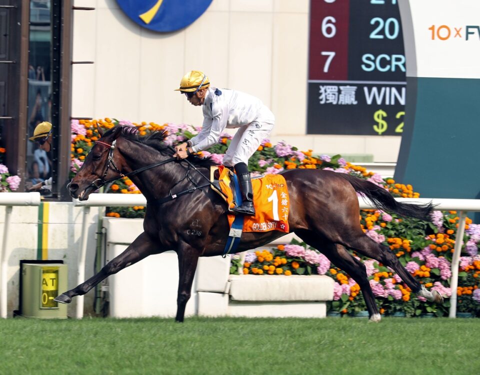 Golden Sixty - photo credit Hong Kong Jockey Club