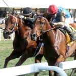 HAATEM - The Mint Millions Invitational G3 - Kentucky Downs - Renee Torbit / Coady Media