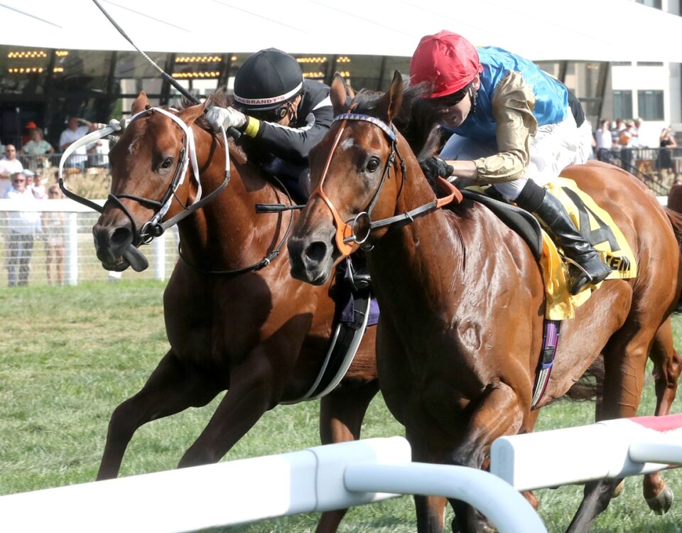HAATEM - The Mint Millions Invitational G3 - Kentucky Downs - Renee Torbit / Coady Media