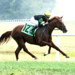 HOW'S AL TODAY - The Pepsi Kentucky Downs Juvenile Mile - Kentucky Downs - Renee Torbit