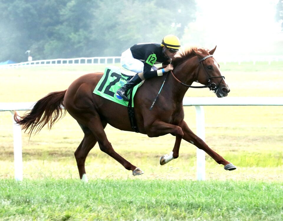 HOW'S AL TODAY - The Pepsi Kentucky Downs Juvenile Mile - Kentucky Downs - Renee Torbit