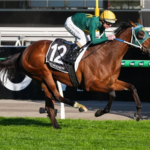 Sheza Alibi - photo provided by Sky racing World AUS
