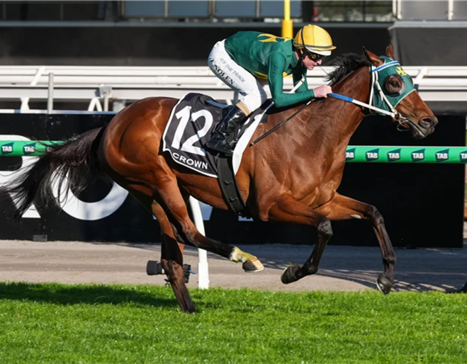 Sheza Alibi - photo provided by Sky racing World AUS
