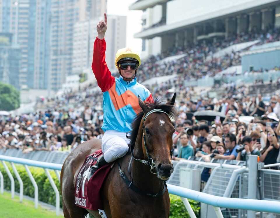 Ka Ying Rising (rating 135) - Hong Kong Jockey Club