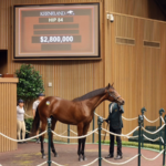 Hip 84, a Gun Runner colt sold for $2.8 million - Keeneland Sales 2026