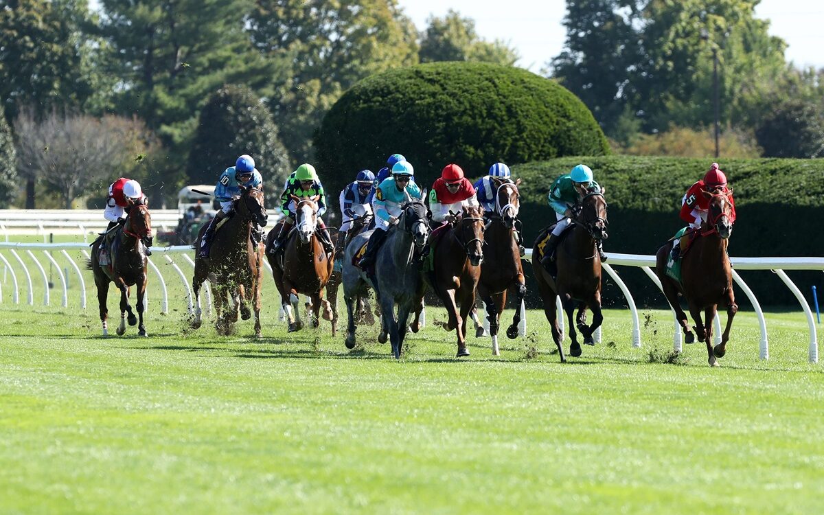 Keeneland Scenics - Coady Media