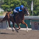 Maycocks Bay - Eclipse Stakes G2 - Woodbine/ Julie Wright - Daily Racing Form