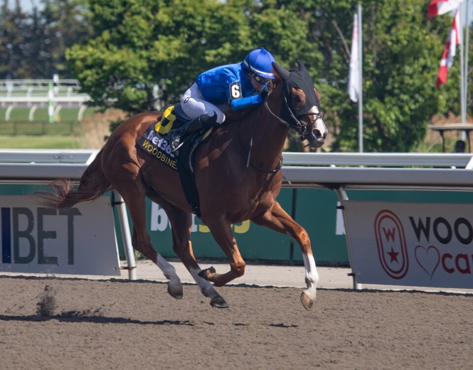 Maycocks Bay - Eclipse Stakes G2 - Woodbine/ Julie Wright - Daily Racing Form