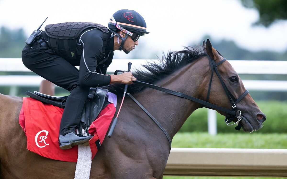 Nitrogen ejercitando en Saratoga en Sep2. Foto: Barbara D. Livingston - Daily Racing Form