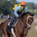 Irad Ortiz, Jr. up! - Barbara D. Livingston - Daily Racing Form