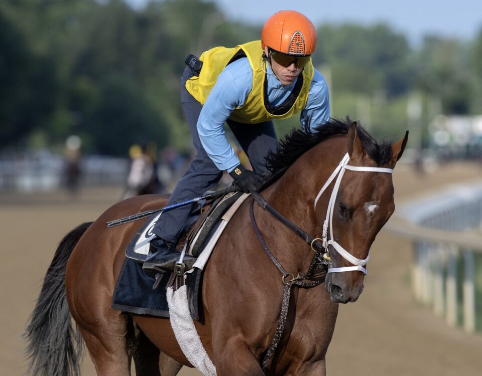 Irad Ortiz, Jr. up! - Barbara D. Livingston - Daily Racing Form