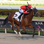 Scootaloo es uno de los tres caballos entrenados por Angel Quiroz que dieron positivo por la sustancia prohibida albuterol.