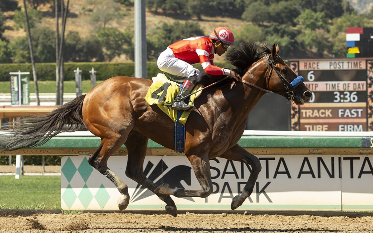 Santa Anita Park - Benoit Photo
