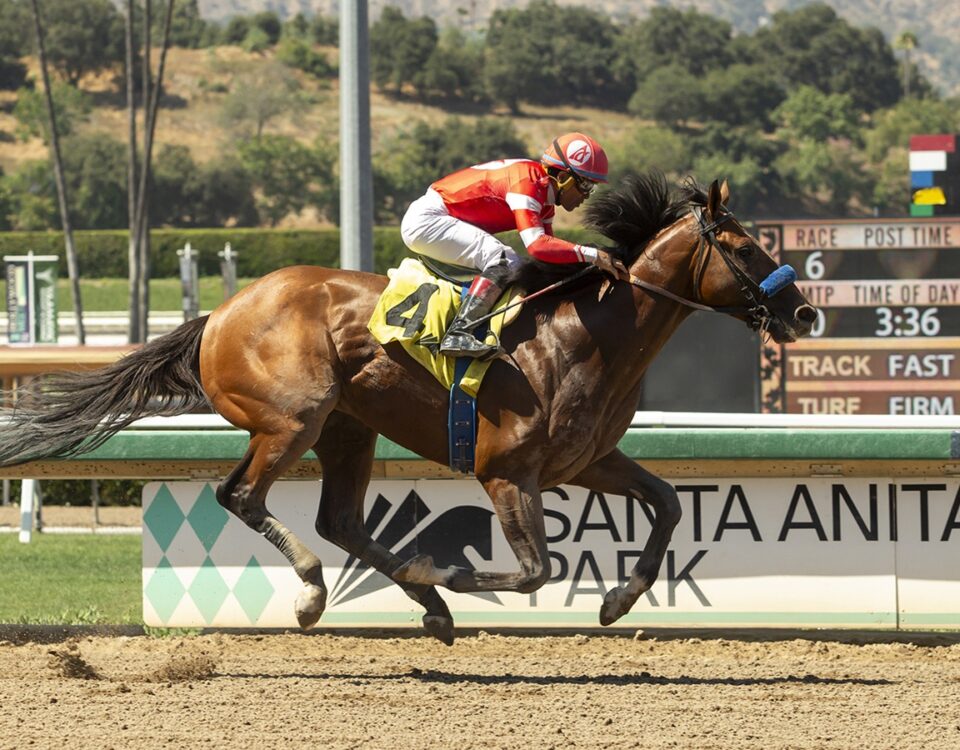 Santa Anita Park - Benoit Photo