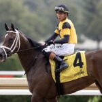 Irad Ortiz, Jr. up, Saratoga Race Course - Barbara D. Livingston - Daily Racing Form