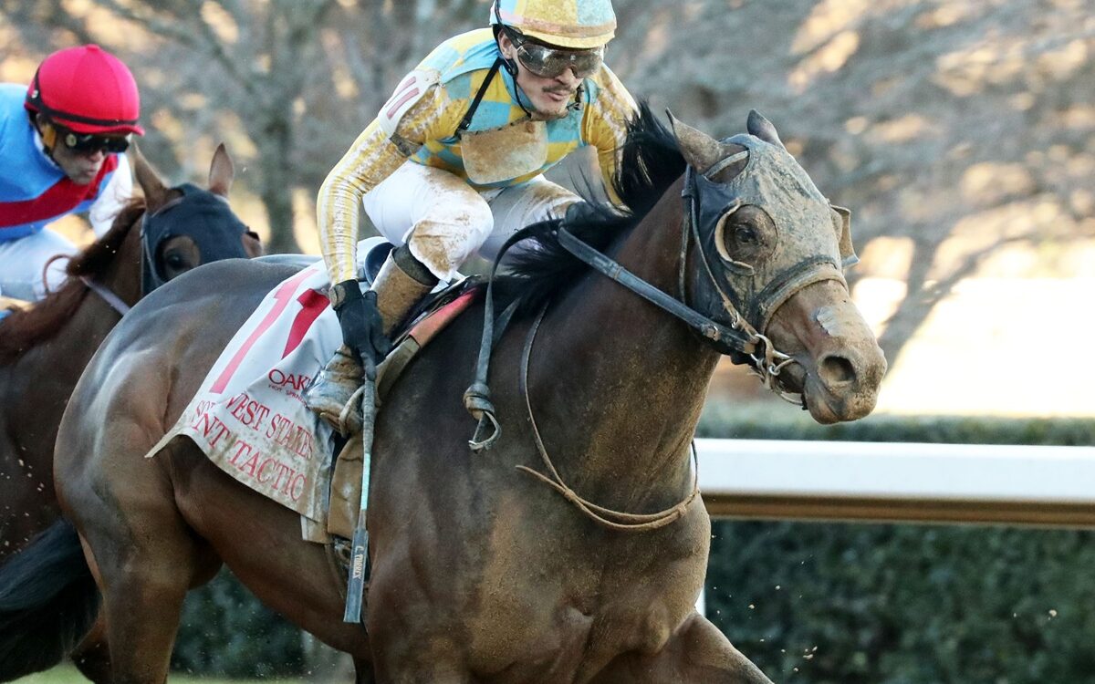 Silent Tactic - Southwest Stakes G3 2026 - Oaklawn Park - Coady Media