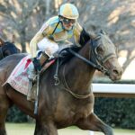 Silent Tactic - Southwest Stakes G3 2026 - Oaklawn Park - Coady Media