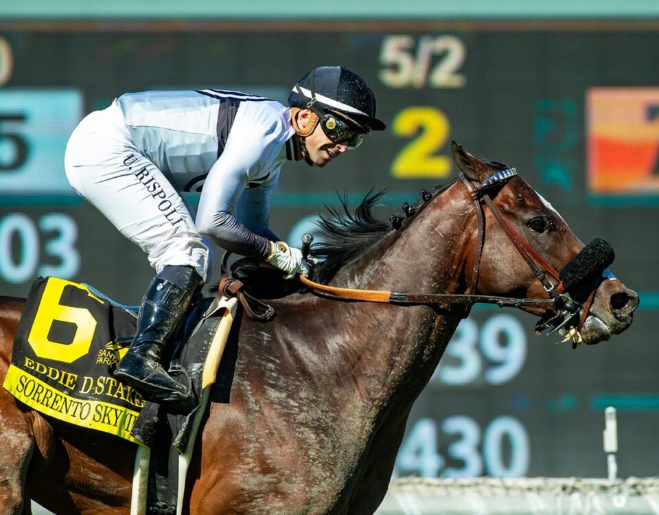 Sorrento Sky (Ire) - Eddie D Stakes G2 - Santa Anita Park - BENOIT Photo