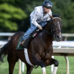 Sovereignty - Barbara D. Livingston - Daily Racing Form