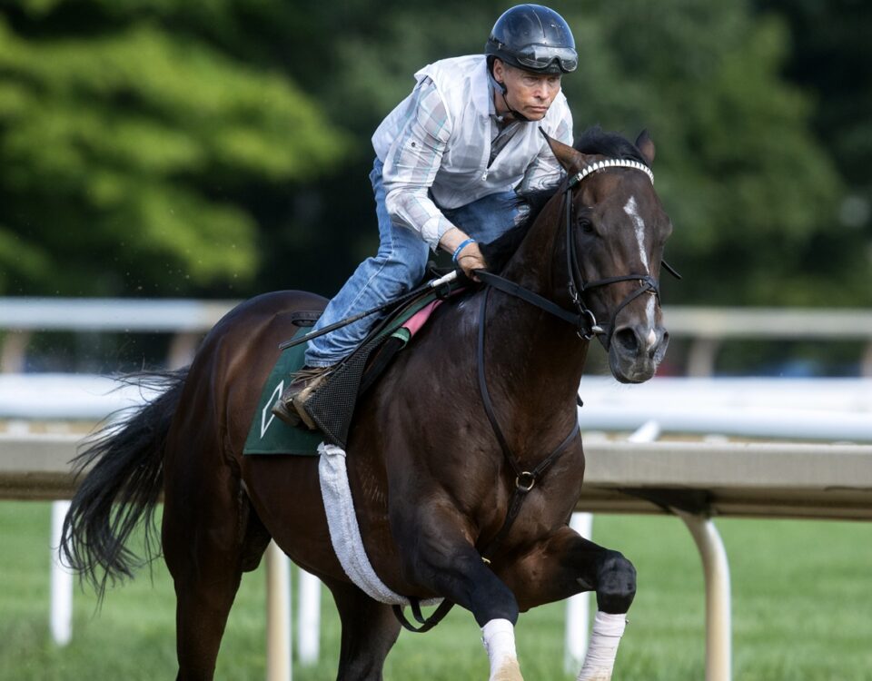 Sovereignty - Barbara D. Livingston - Daily Racing Form