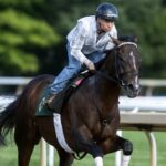 Sovereignty - Barbara D. Livingston - Daily Racing Form