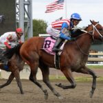 Stradale - Gallant Bob G2 - Parx Racing - Susie Raisher / DRF