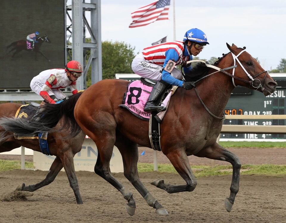 Stradale - Gallant Bob G2 - Parx Racing - Susie Raisher / DRF
