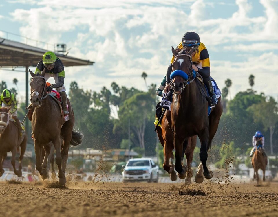 Super Corredora - Zenyatta Stakes G2 - Benoit Photo