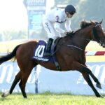TAKE CHARGE STAR - The Mint Franklin-Simpson Stakes G2 - Kentucky Downs - Coady Media
