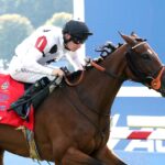 TIFFANY - The AGS Kentucky Turf Cup Invitational G2 - Kentucky Downs - Casey Cable / Coady Media