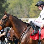 TIFFANY - The AGS Kentucky Turf Cup Invitational G2 - Kentucky Downs - Casey Cable / Coady Media