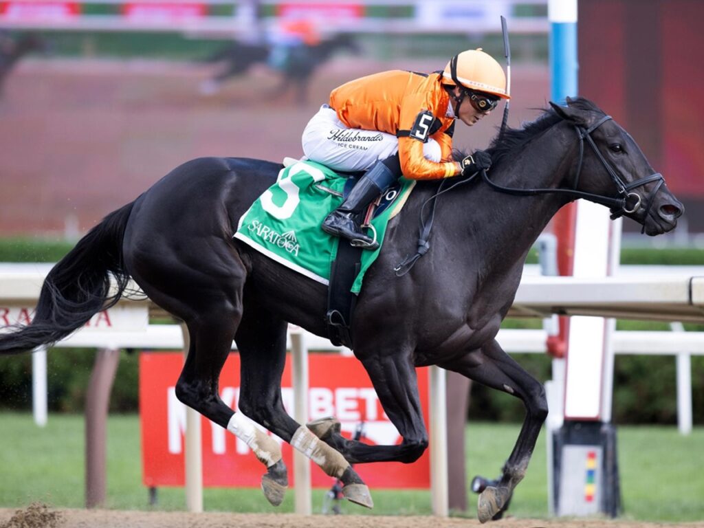 Velora - Seeking the Ante Stakes - Saratoga - Barbara D. Livingston - Daily Racing Form