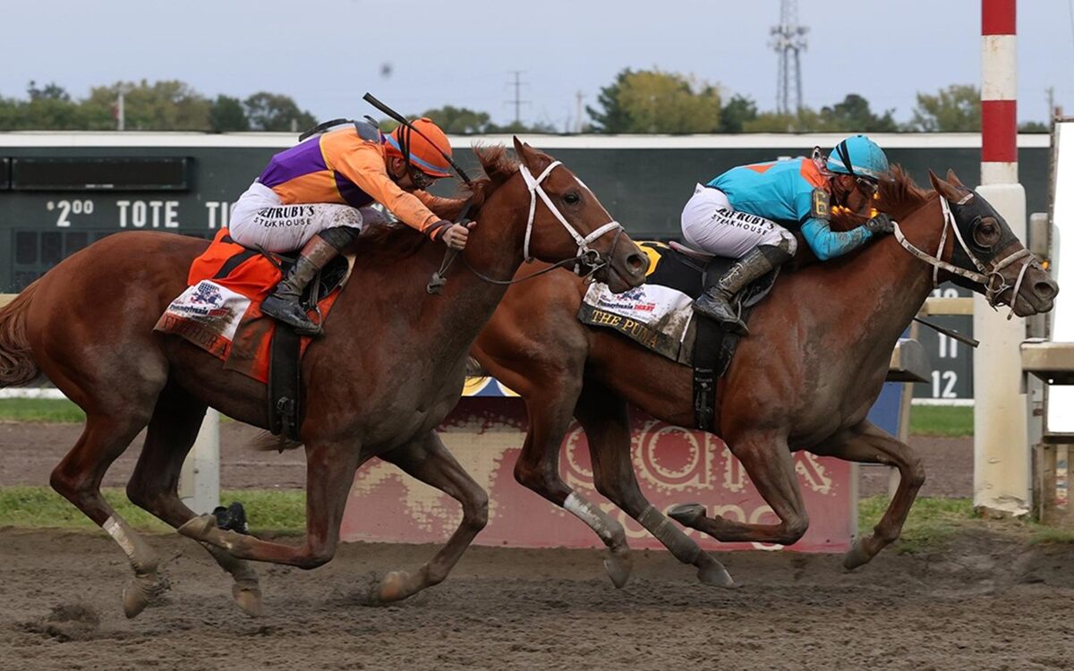 The Puma - Pennsylvania Derby G1 $1M - Susie Raisher / Daily Racing Form