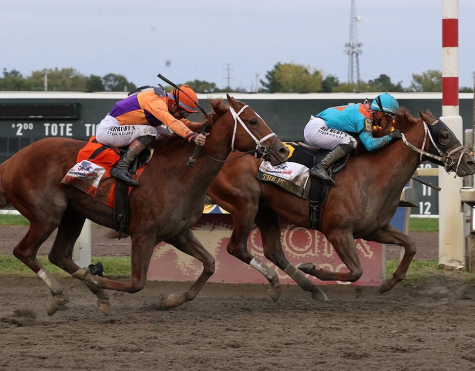 The Puma - Pennsylvania Derby G1 $1M - Susie Raisher / Daily Racing Form